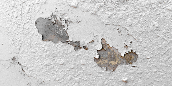 Pintar Fachadas de Naves Industriales, Fábricas y Almacenes en Lleida · Pintura Antihumedad / Antimoho para Humedades / Moho